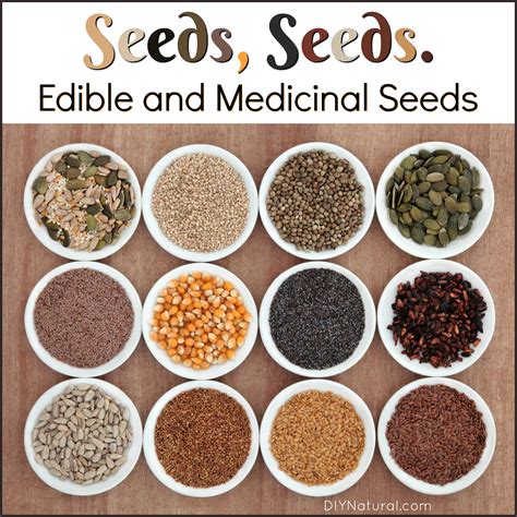 medicinal seeds list.